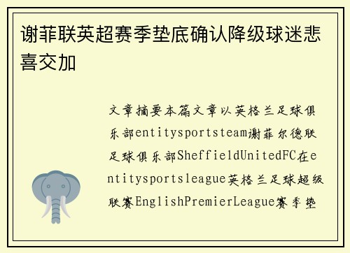 谢菲联英超赛季垫底确认降级球迷悲喜交加